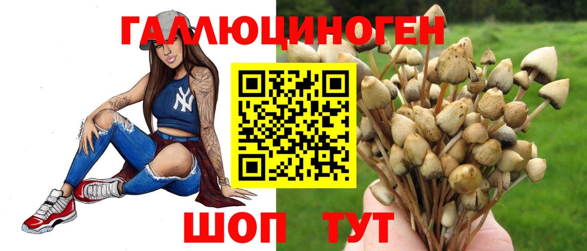 Галлюциногенные грибы Magic Shrooms  Галлюциногенные грибы Cubensis  Вход с VPN  Новотроицк 